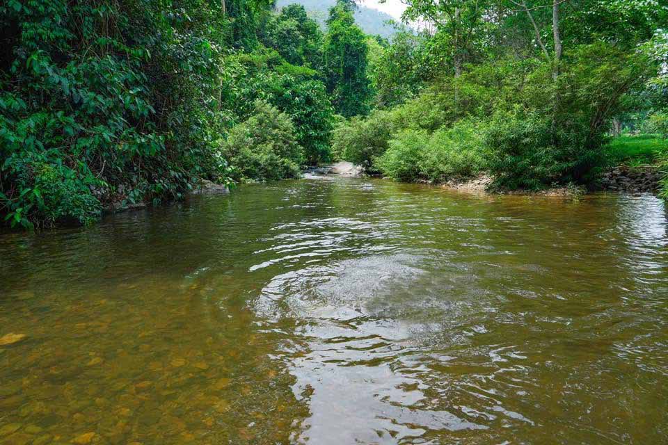 Khlong Maduea Tourist Spot | Nakhon Nayok