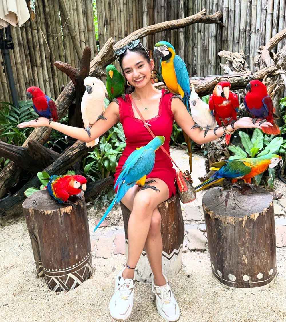 Safari World Bangkok, Khlong Sam Wa District | Bangkok
