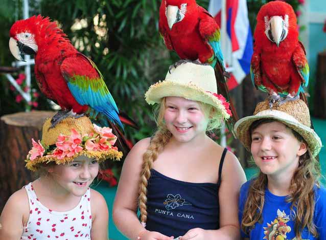 Phuket Bird Park, Mueang Phuket District | Phuket