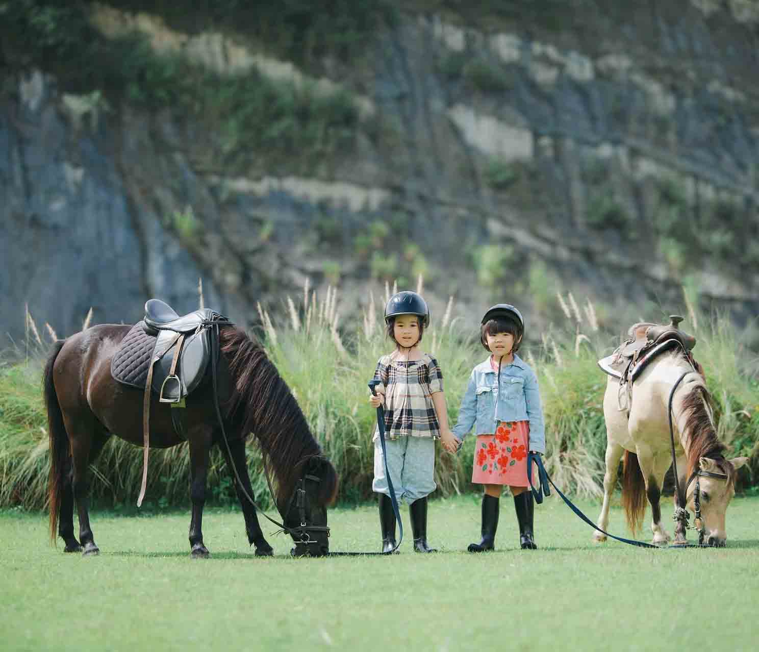 Pong Horse Park, Hang Dong District | Chiang Mai