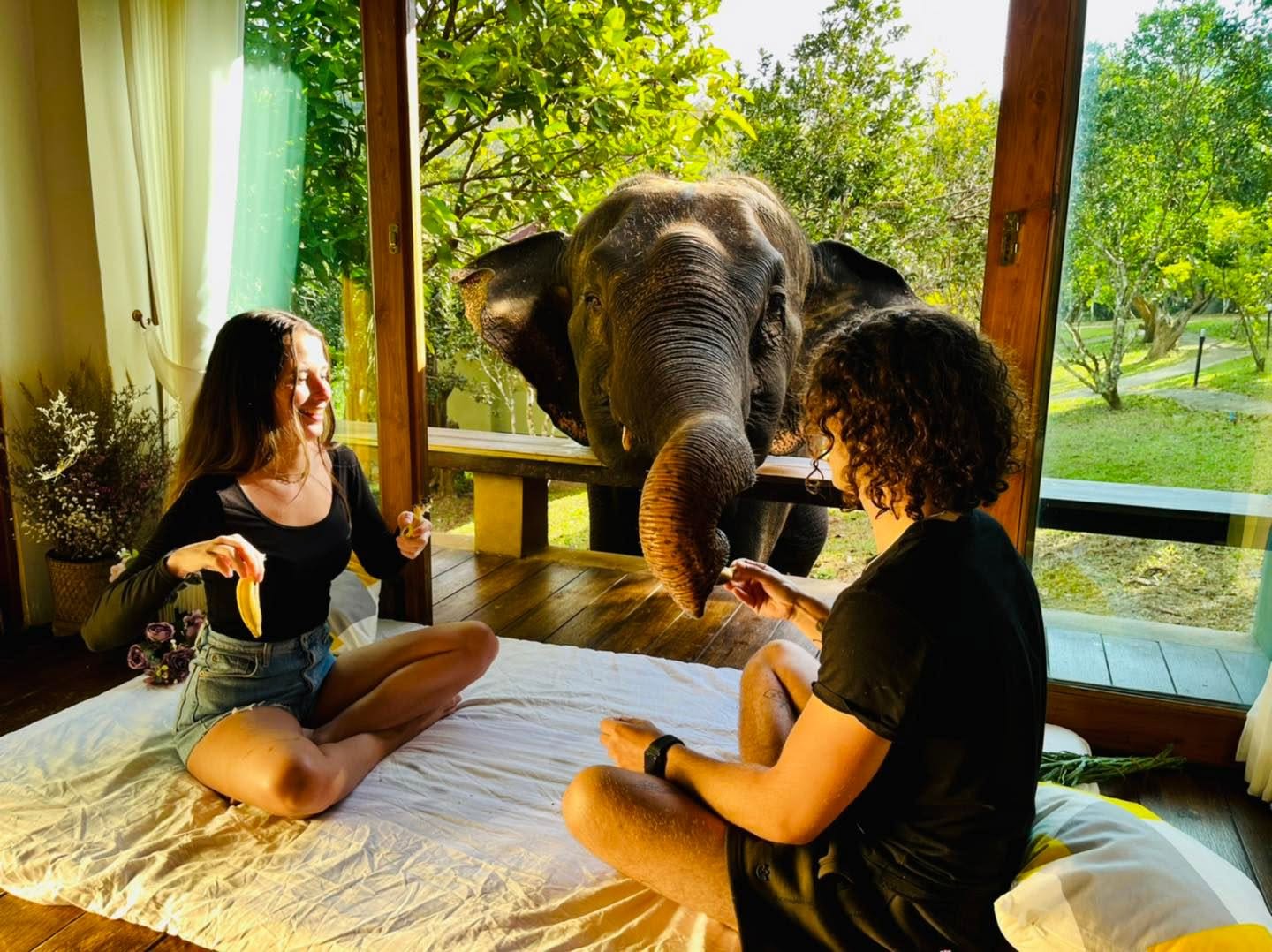 Tawan Riverside Elephant Resort | Mae Win Subdistrict, Chiang Mai